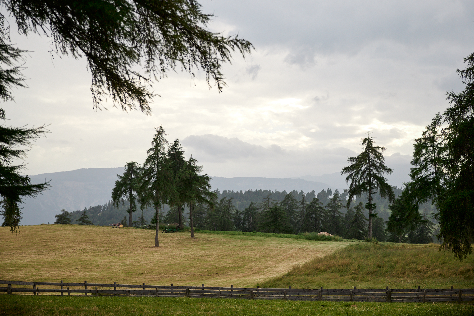 Wiese mit Bäumen und Bergblick unter bewölktem Himmel